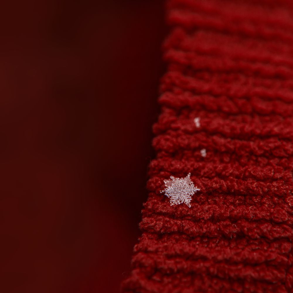 Photograph by Hai Yen Nguyen