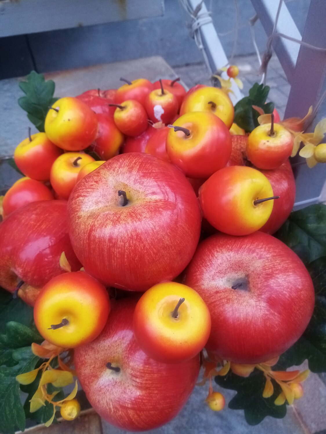 Photo #8396647