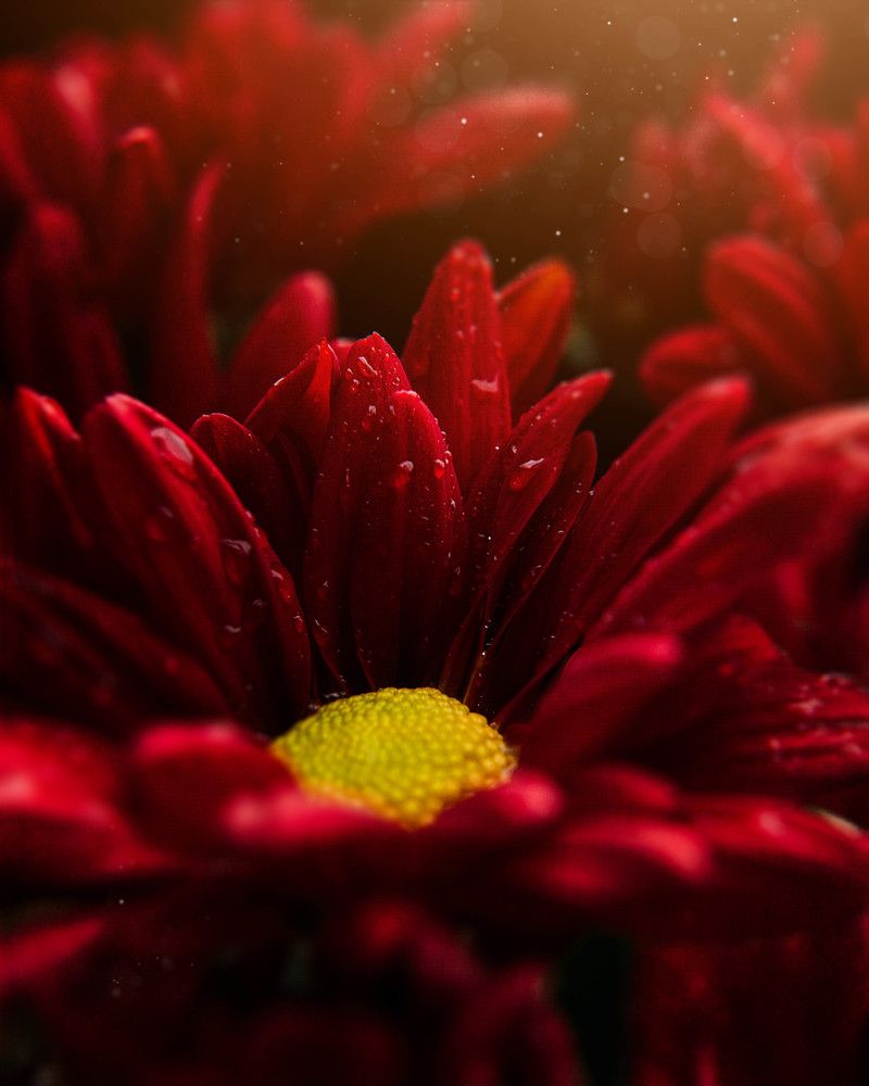 Photograph by Hai Yen Nguyen