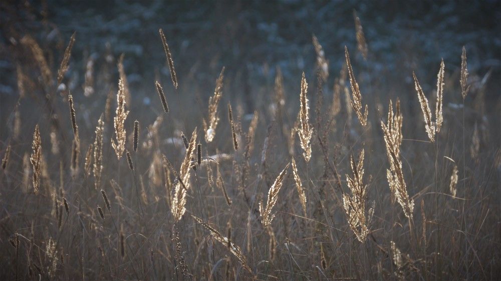 Photograph by Гузель Иванова