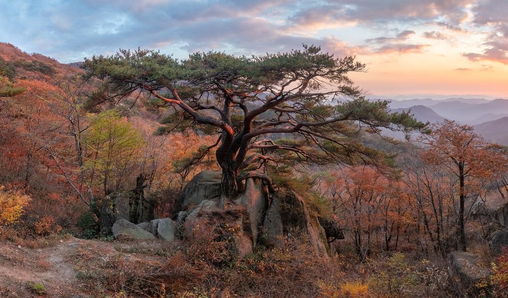 Photograph by Jaeyoun Ryu