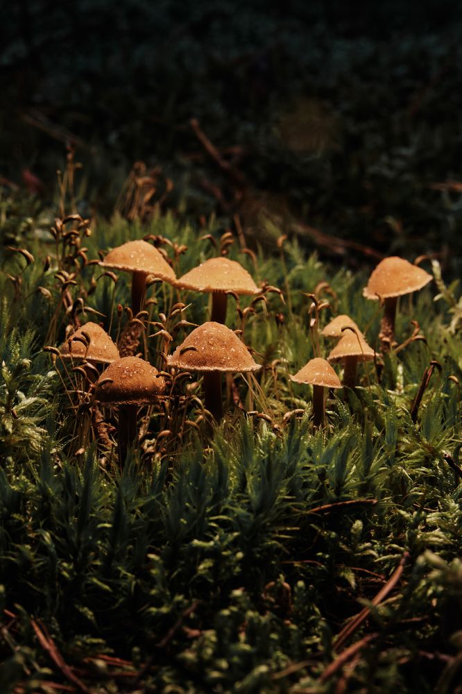 Photograph by Александр Старцев