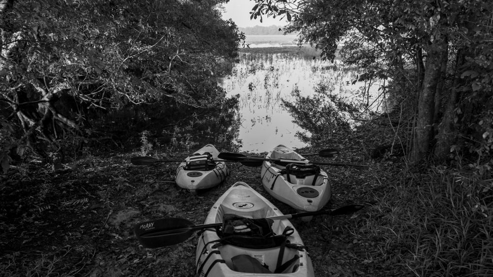 Фотография автора Raoul Rutnam
