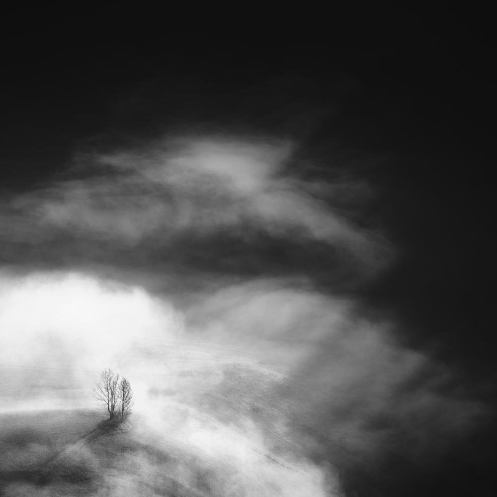 Photograph by Mário