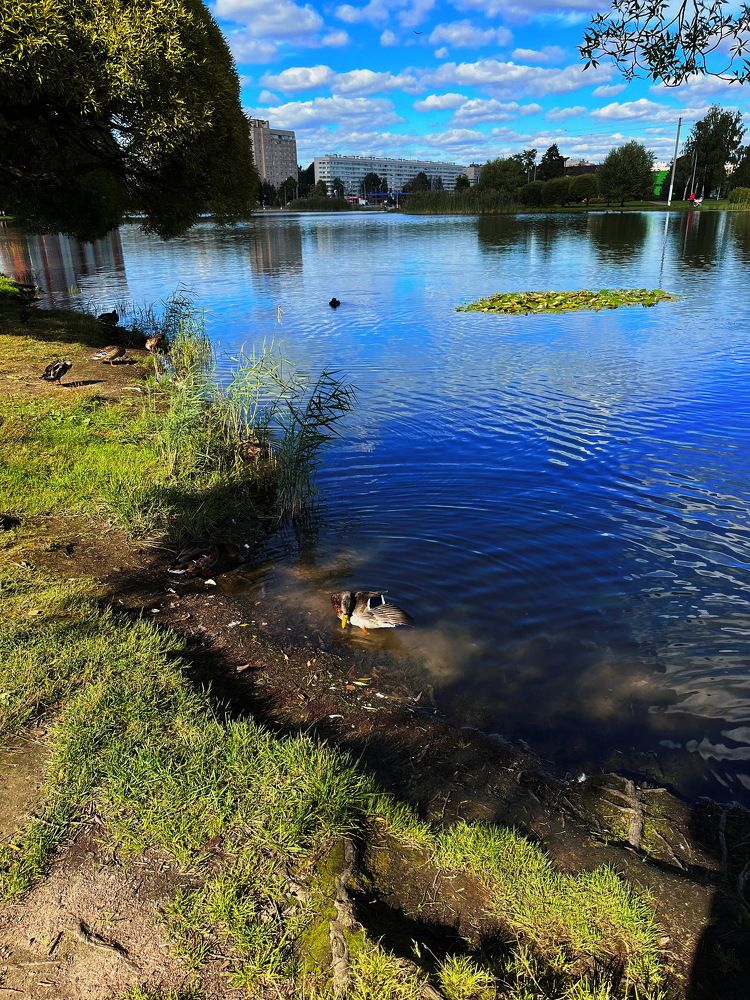 Озеро на Просвещения...Баден-Баден...!