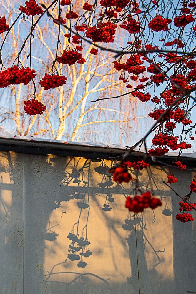 Photograph by Екатерина Першина