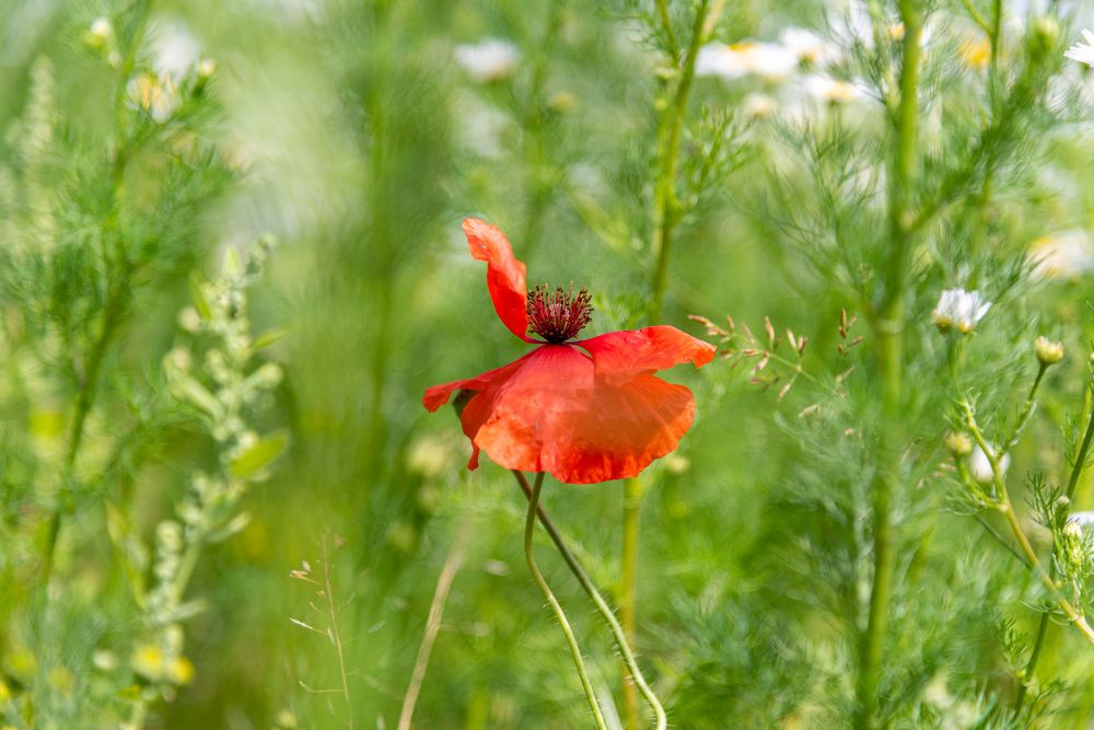 Photograph by Andrey Chernov