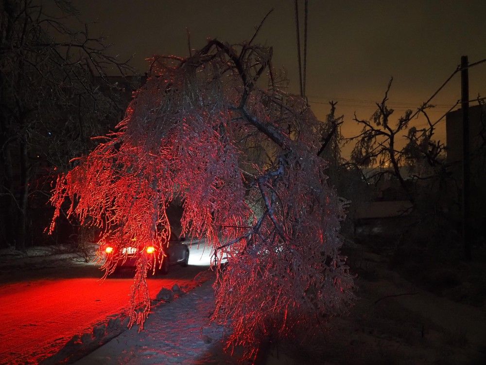 Photograph by Markov Alexander