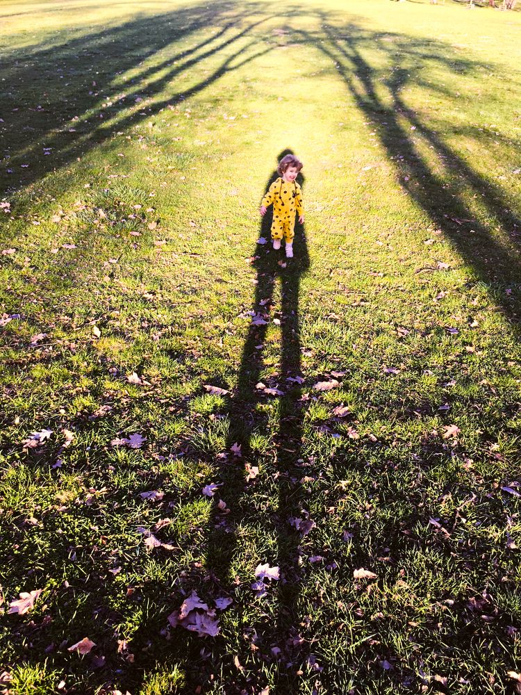 Photograph by Alexandra Ikkonen