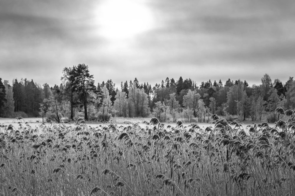 Photograph by Максим Сорокин