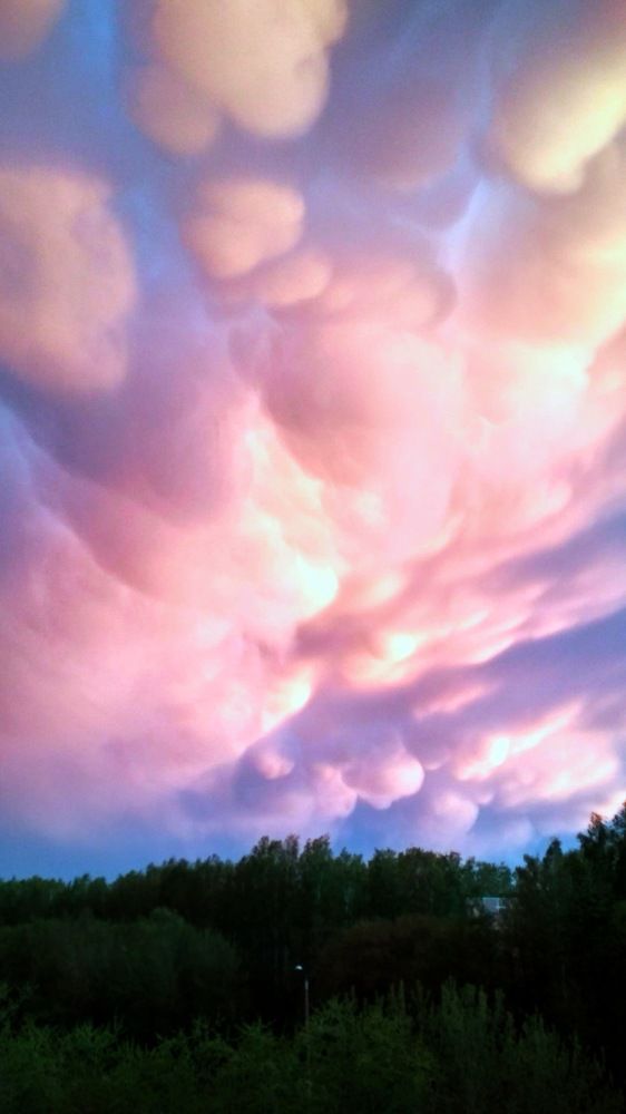 Photograph by Natalie Dmay