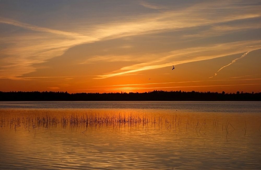 Photograph by IRINA KORNEVA