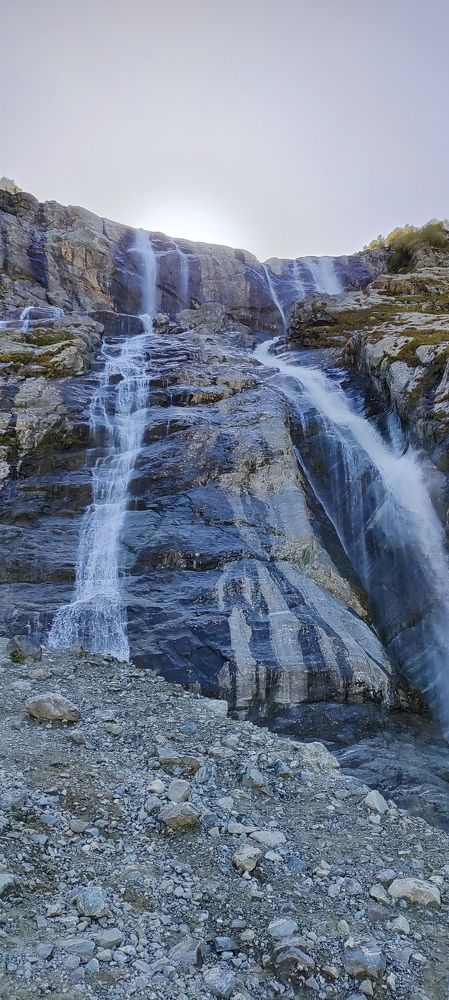 Photo #8397187