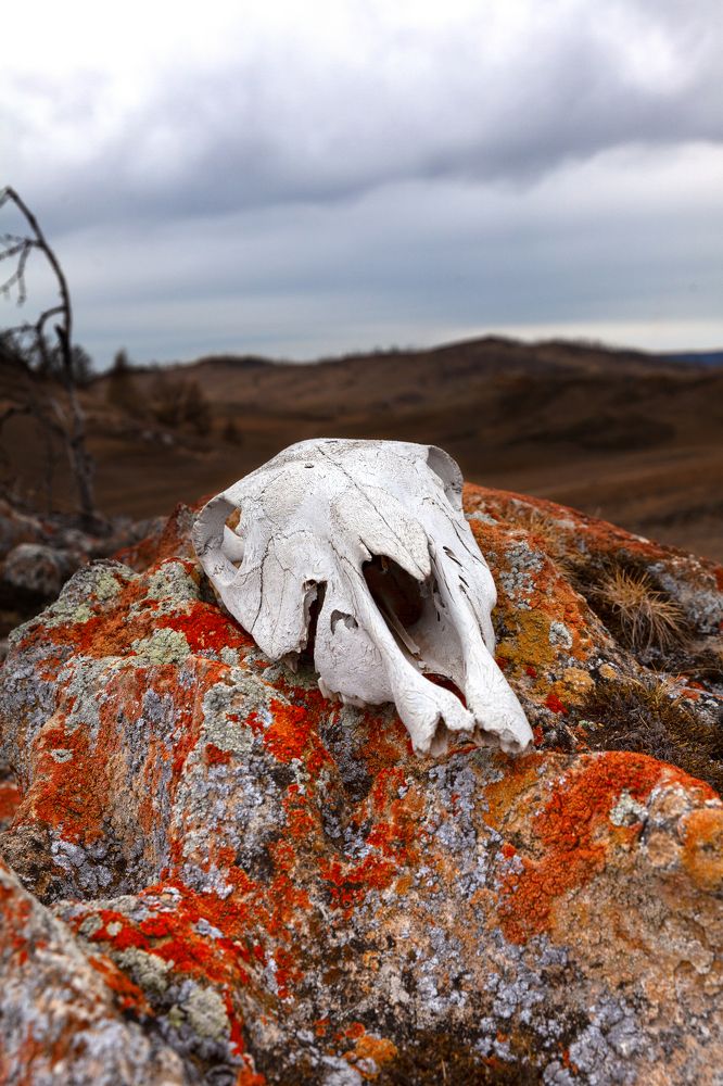 Photograph by Денис Дорошенко