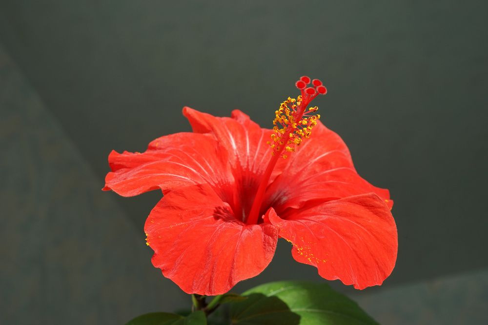 Photograph by Сергей Стукен