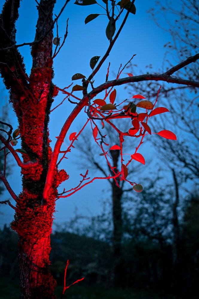 Фотография автора Anna Labelle