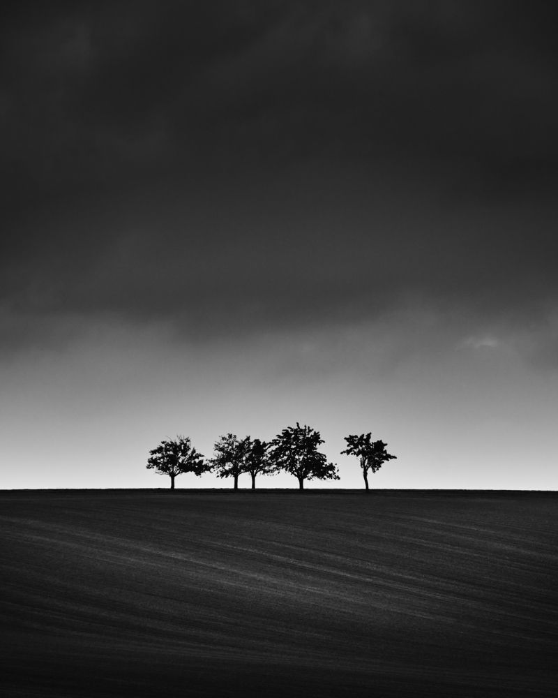 Photograph by Mário