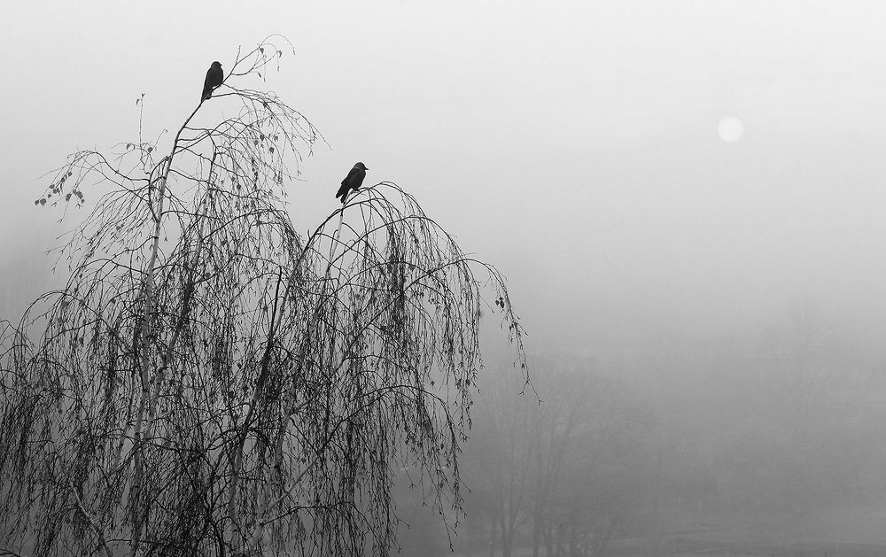 ОСЕННЕЕ УТРО