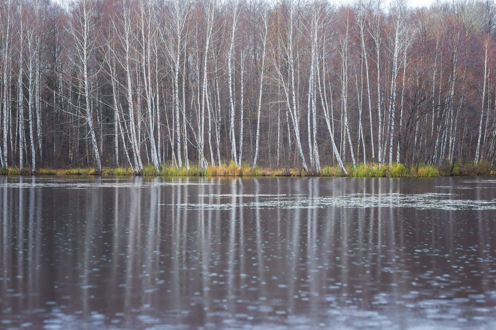 Photograph by Андриян Чаркин