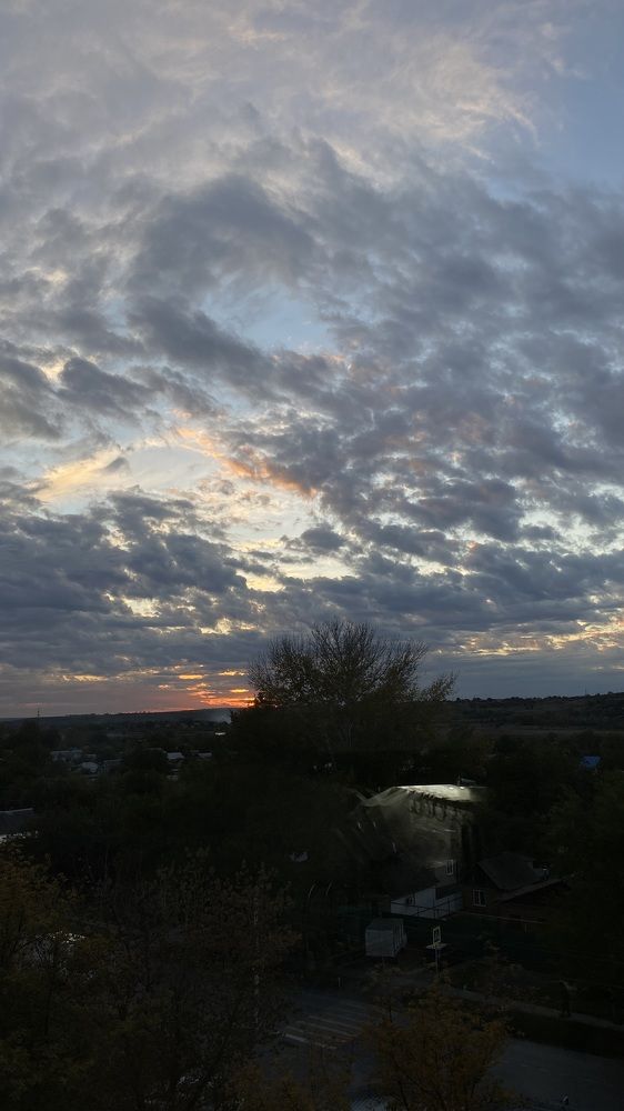 Photograph by Мокану Анастасия