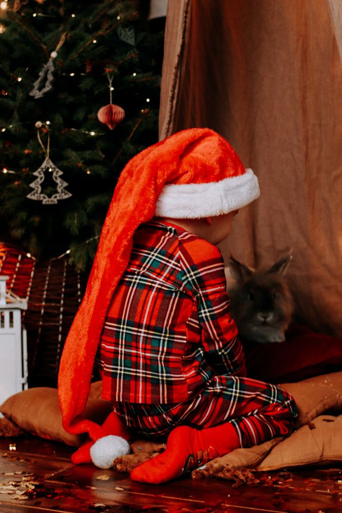 Photograph by Мокану Анастасия