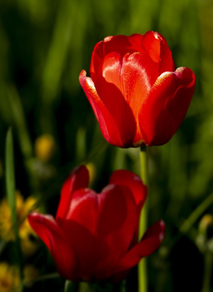 Photograph by Андрей Анатольевич Жуков