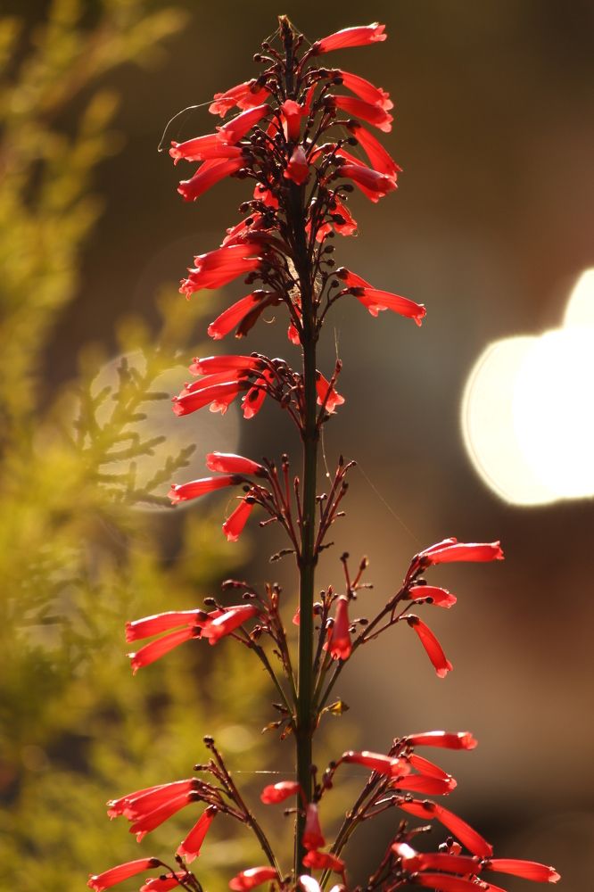 Photograph by shashiranjan prakash