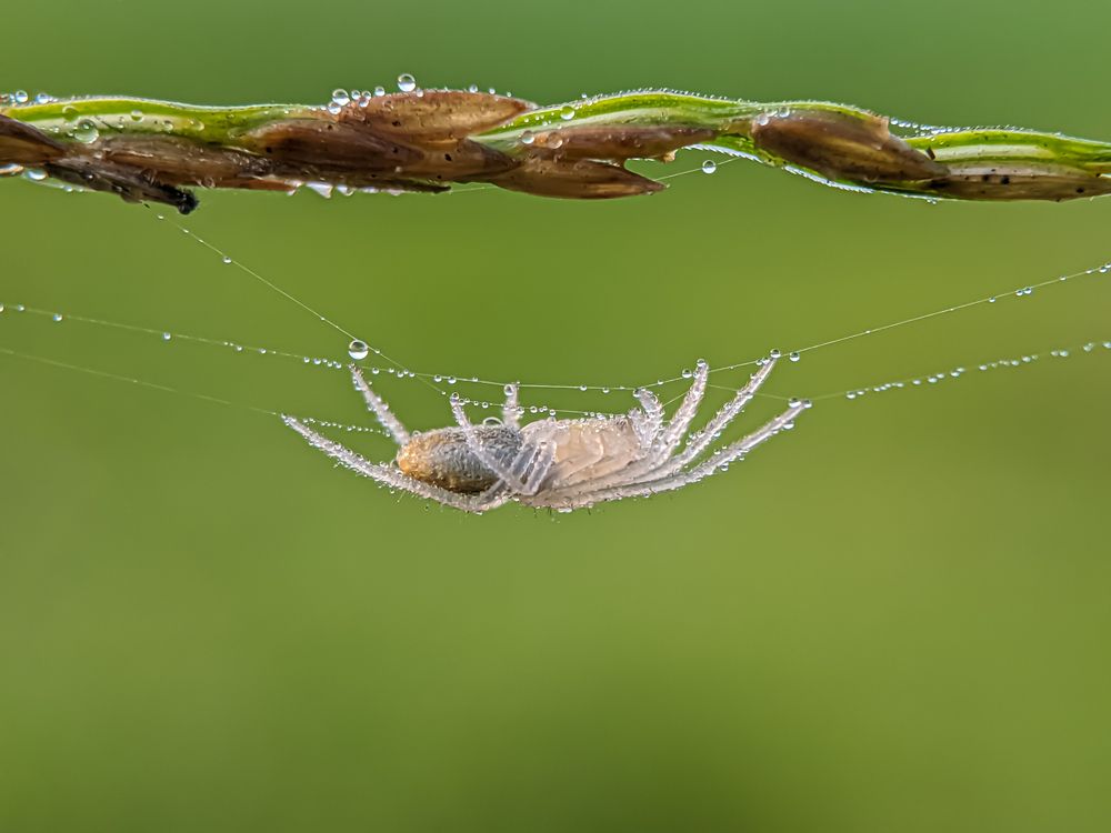 Photograph by Md Raihan