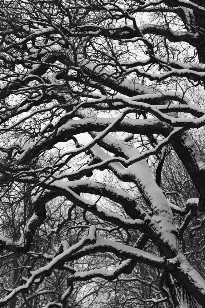 Photograph by Унку Юрий