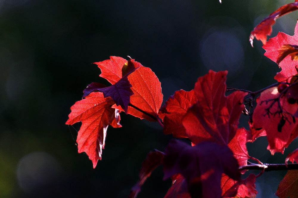 Photograph by Сергей Стукен