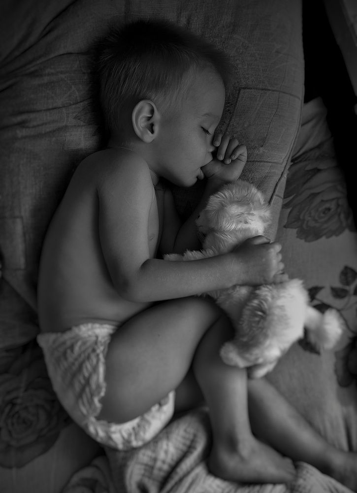 Photo #8397585