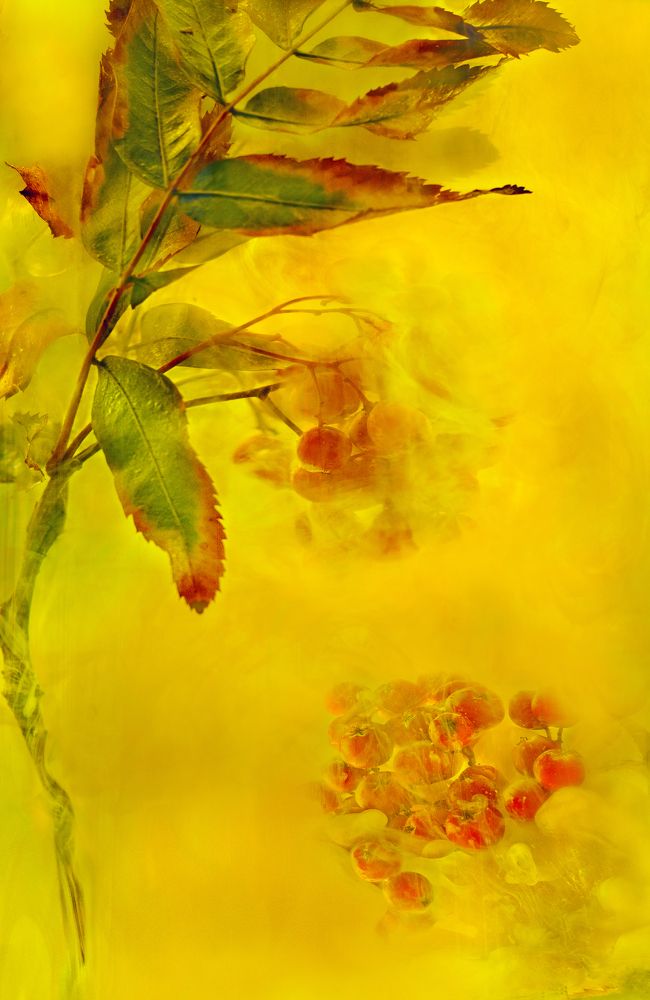 Photograph by Константин Мишнаевский