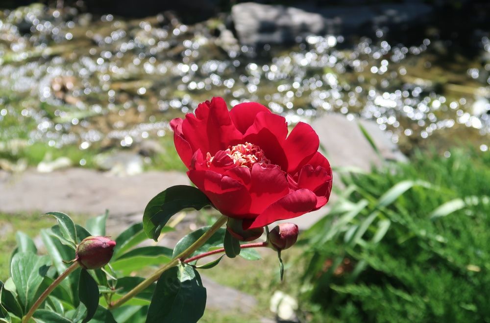 Photograph by Юлия Майкова