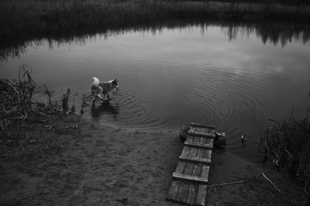 Photograph by Кирилл Колышев