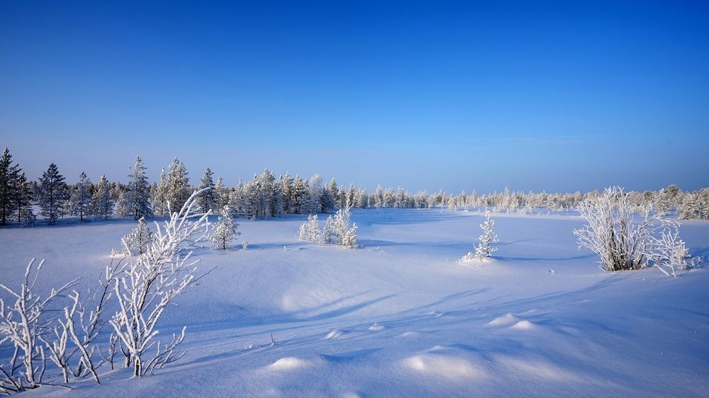 Photograph by Alex Klyuev