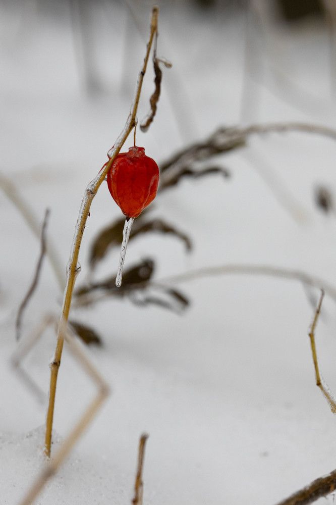 Photograph by Татьяна Царева