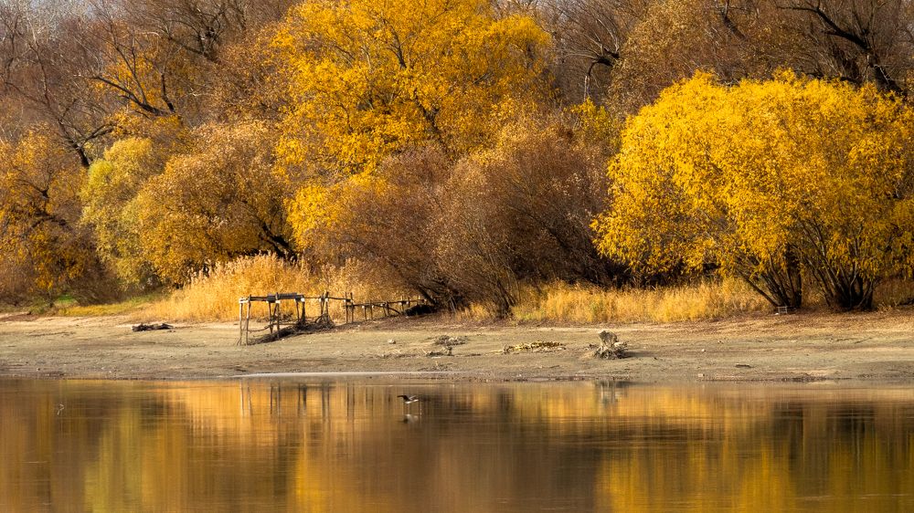 Фотография автора Вадим Коваленко