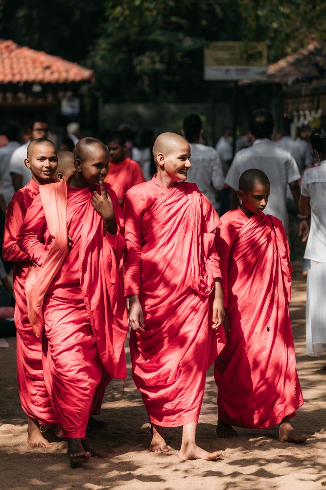 Photograph by Umesh Ranasinghe