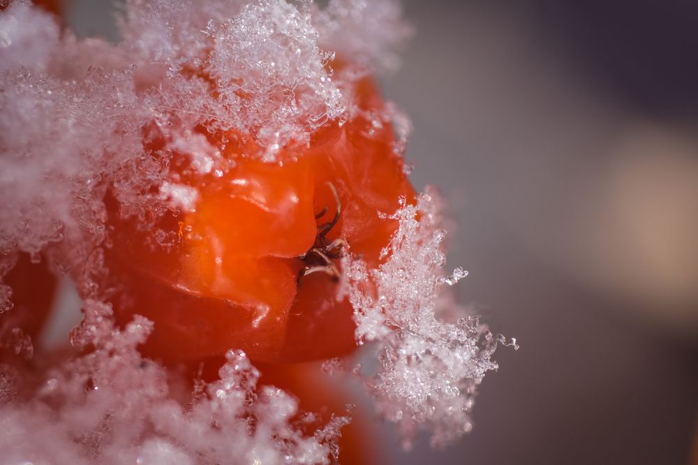 Photograph by Ольга Тюрина