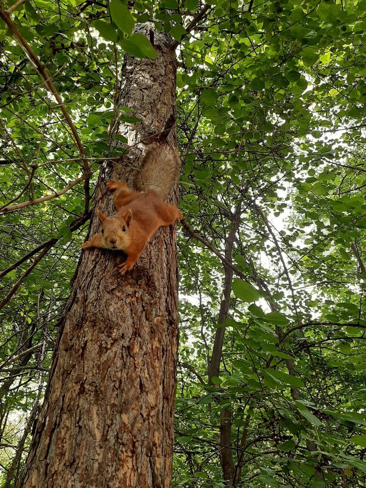 Photograph by Елена Горева