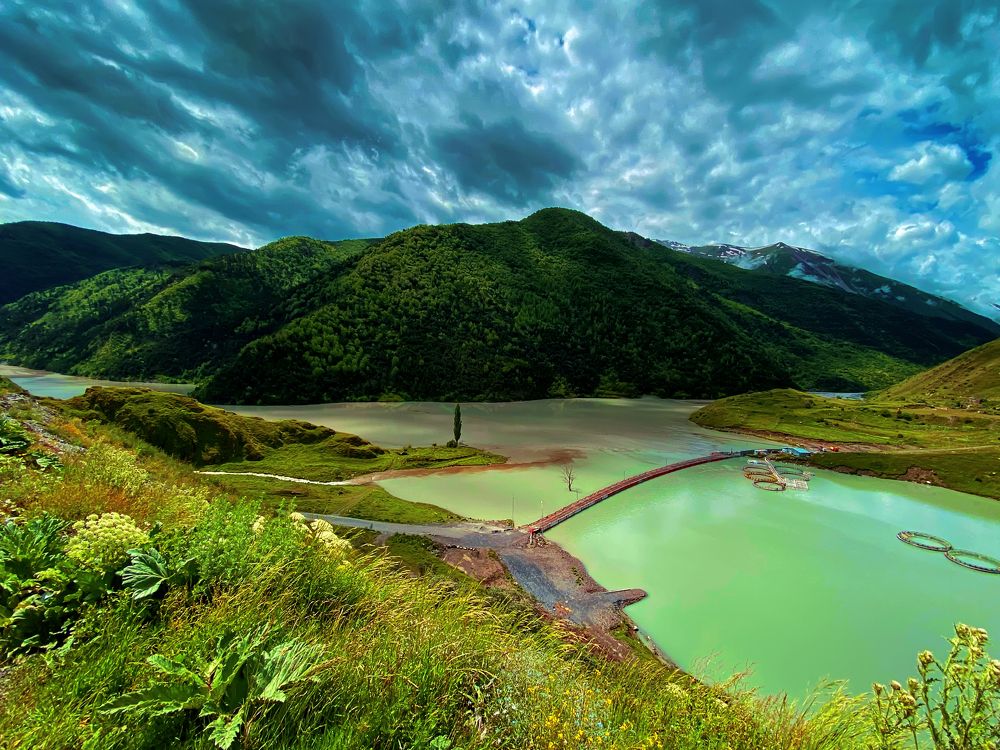 Photograph by Lana Cardi