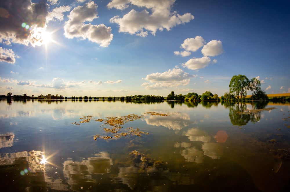 Photograph by Сергей Забиякин