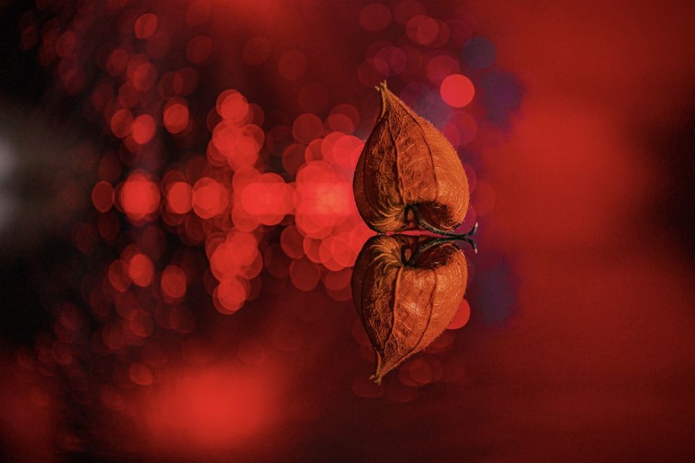 Photograph by Малика Маткарим