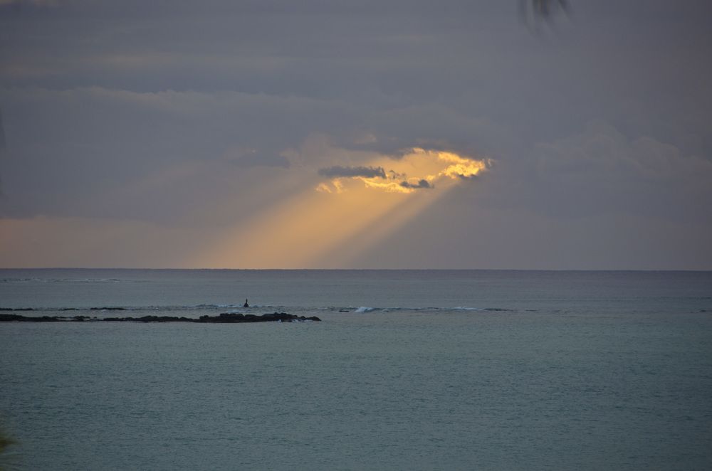 Photograph by 