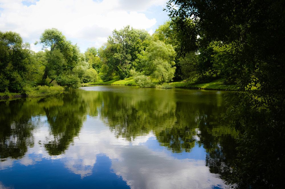 Photograph by Алексей Ларин