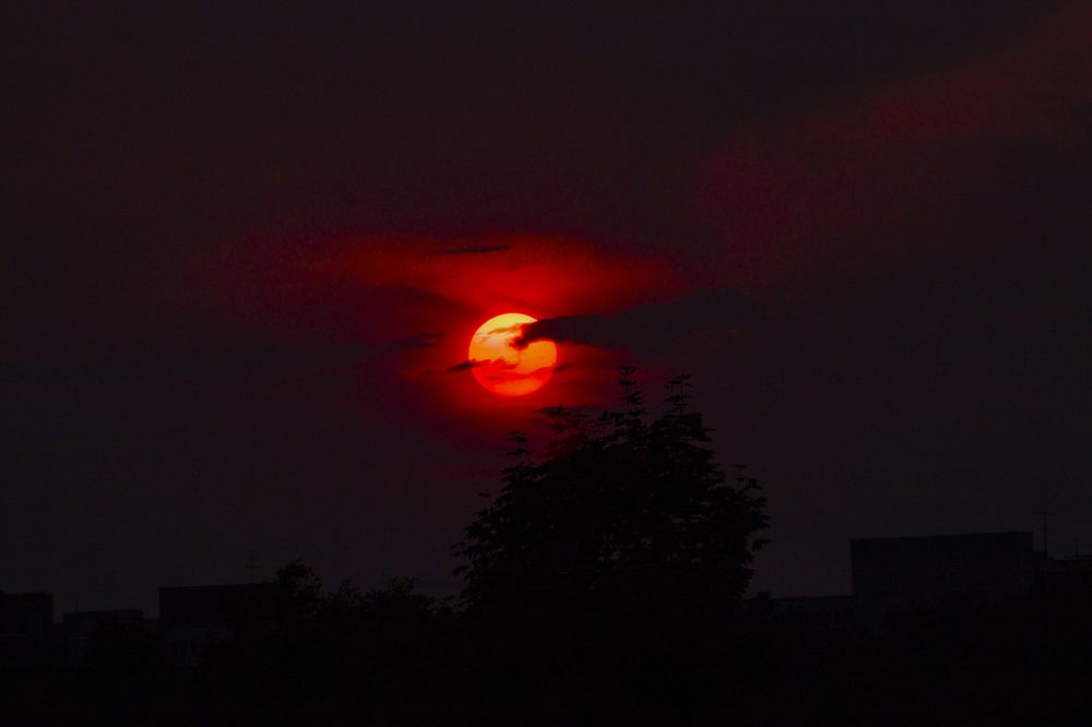 Photograph by Ольга Левакова