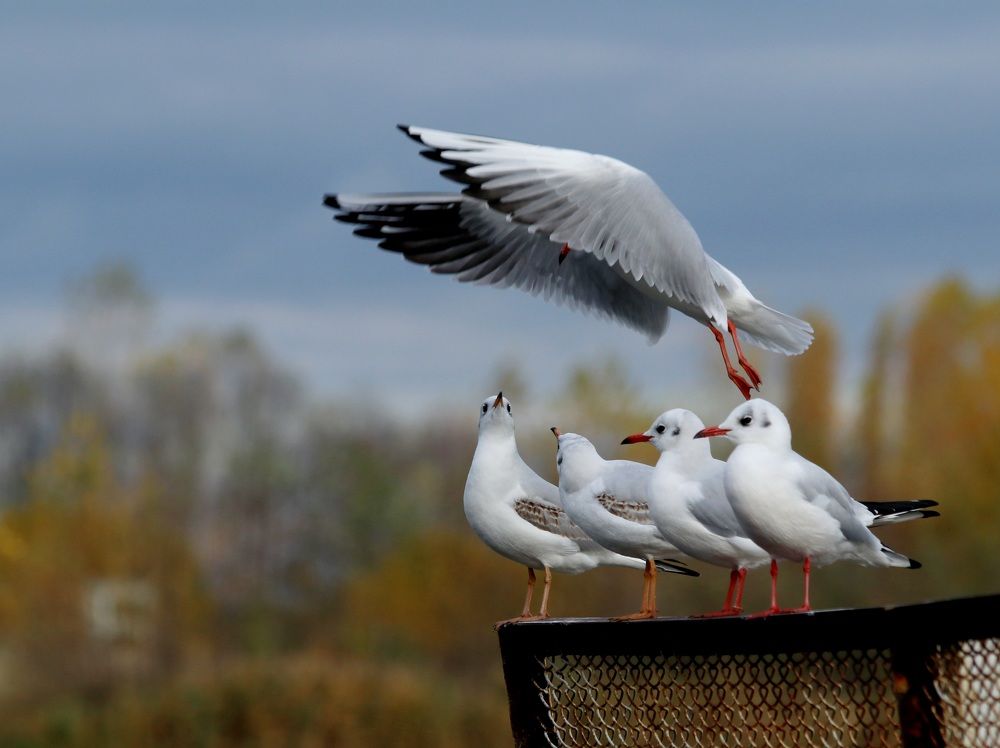Photograph by Андрей Хитрун