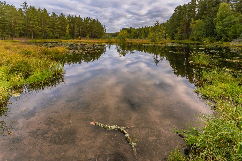 Карельский перешеек. Лесное озеро.