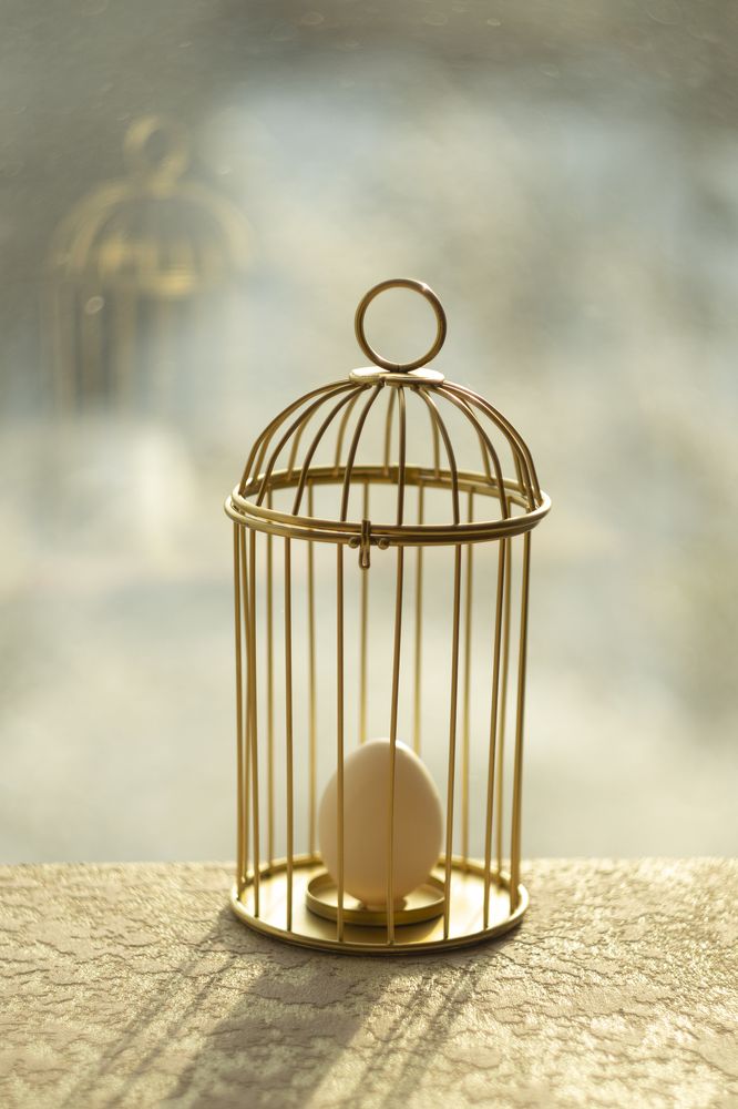 Photograph by Алёна Ивочкина