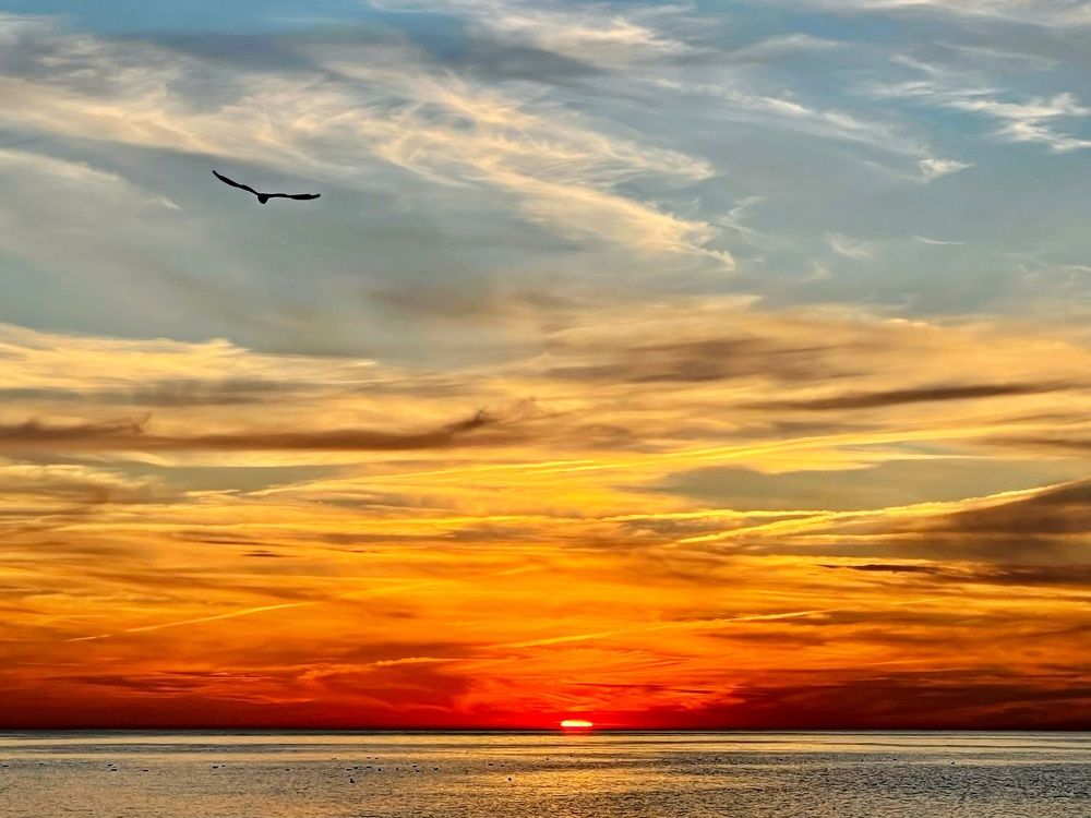 Photograph by Galina Baranovskaja